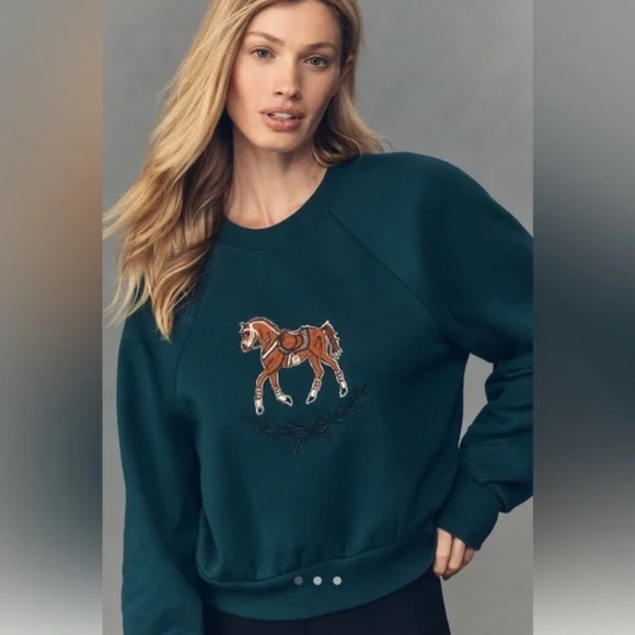 Maeve Sweaters - Anthropologie Maeve Embroidered Shrunken Crew Neck Sweatshirt